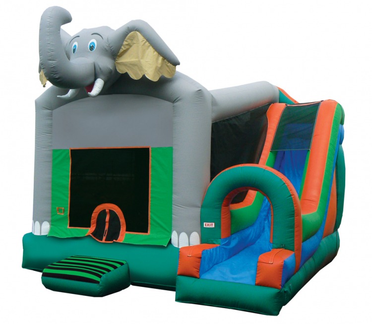 Bounce Houses W/ Slide Rentals